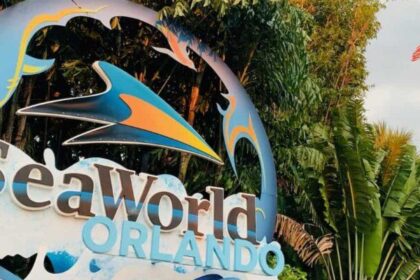 SeaWorld Entertainment to Celebrate 60 Years with Exciting New Name