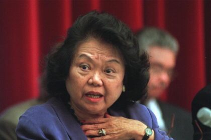 Asian-Descent Politicians Make Powerful Gains in Latino-Majority San Antonio