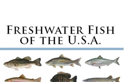 U.S. Freshwater Fish Carry Parasites That Can Infect Humans