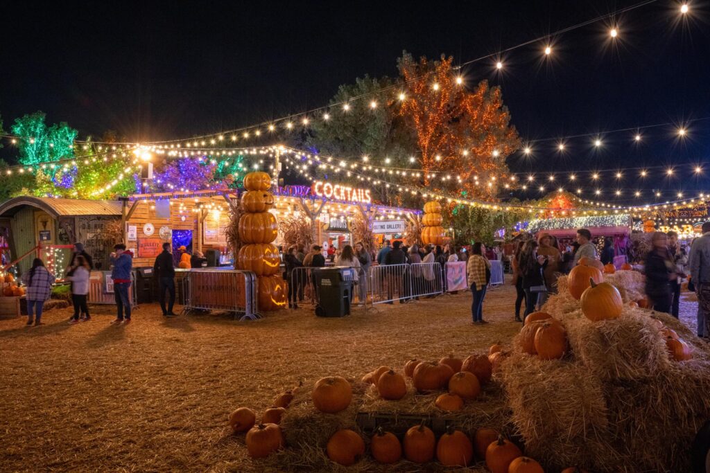 Top Harvest & Pumpkin Festivals in Chicago for Unforgettable Fall Family Fun Top Harvest & Pumpkin Festivals in Chicago for Unforgettable Fall Family Fun