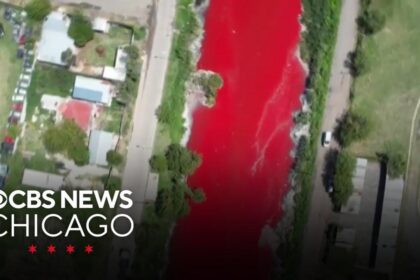 River in Suburban Buenos Aires Mysteriously Turns Red