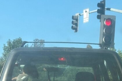 Doberman Tragically Dies After Being Dragged at High Speeds Tied to Jeep; Driver Could Face Charges