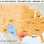 Why Tariffs Fail to Curb Drug Crime Along the U.S.-Mexico Border