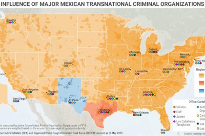 Why Tariffs Fail to Curb Drug Crime Along the U.S.-Mexico Border
