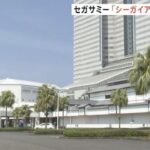Japanese Gaming Giant Sega Sammy Sells Iconic Resort to US Investment Fund