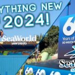 SeaWorld at 60: Exploring the Future of San Diego’s Beloved Theme Park