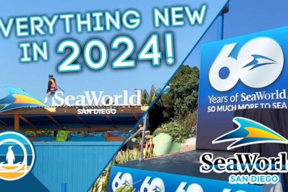 SeaWorld at 60: Exploring the Future of San Diego’s Beloved Theme Park