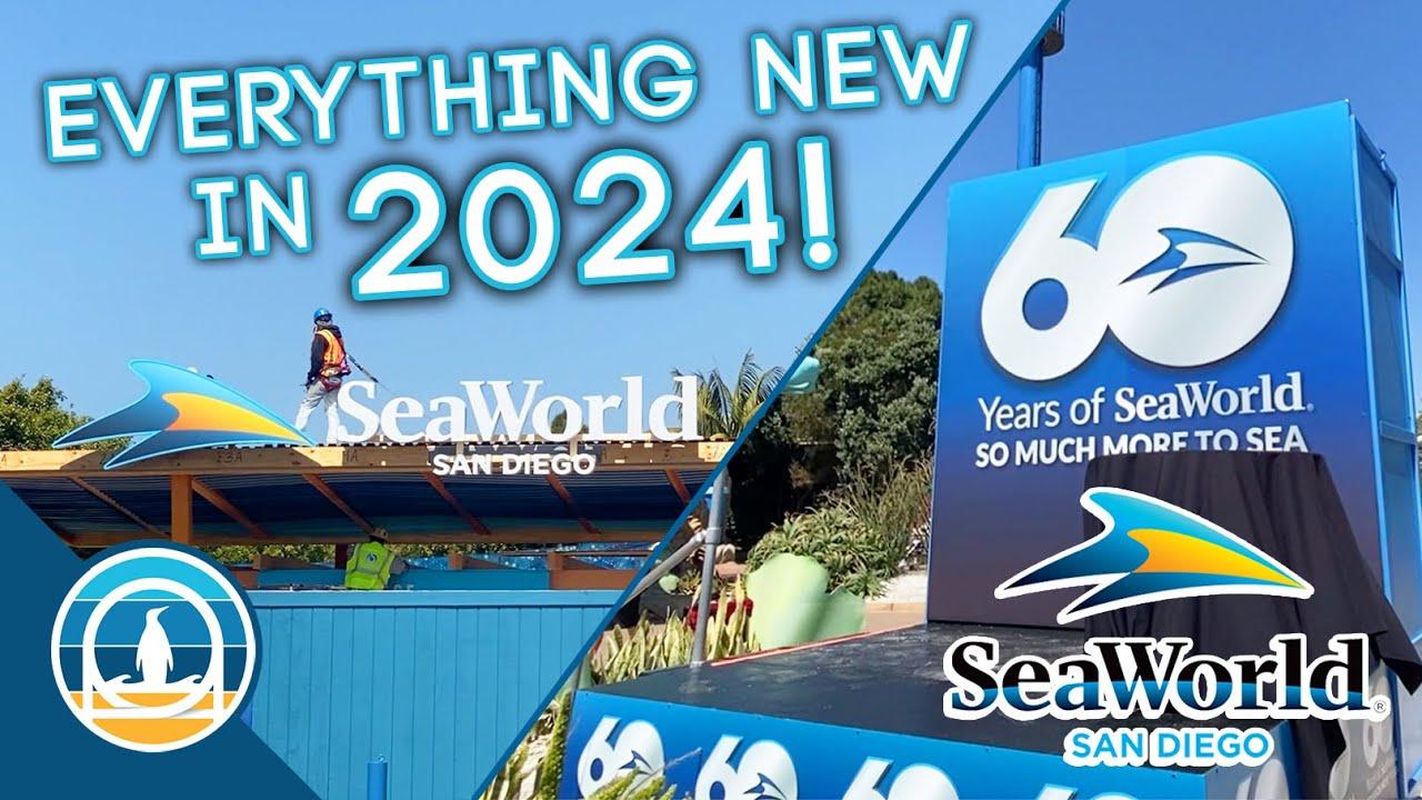 SeaWorld at 60: Exploring the Future of San Diego’s Beloved Theme Park SeaWorld at 60: Exploring the Future of San Diego’s Beloved Theme Park