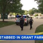 Tragic Stabbing on South Wabash Avenue Leaves One Dead and Another Seriously Injured in South Loop