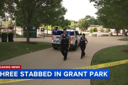 Tragic Stabbing on South Wabash Avenue Leaves One Dead and Another Seriously Injured in South Loop