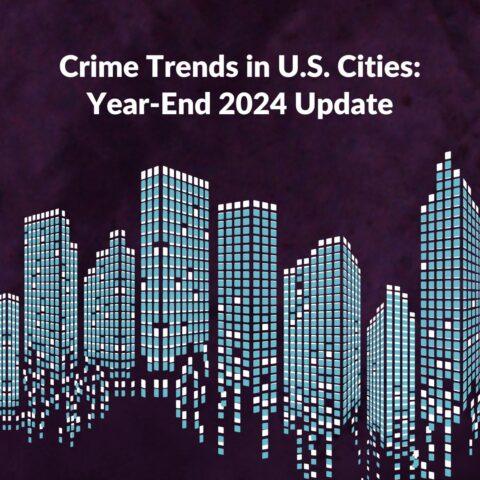 2024 Year-End Update: Emerging Crime Trends Across U.S. Cities