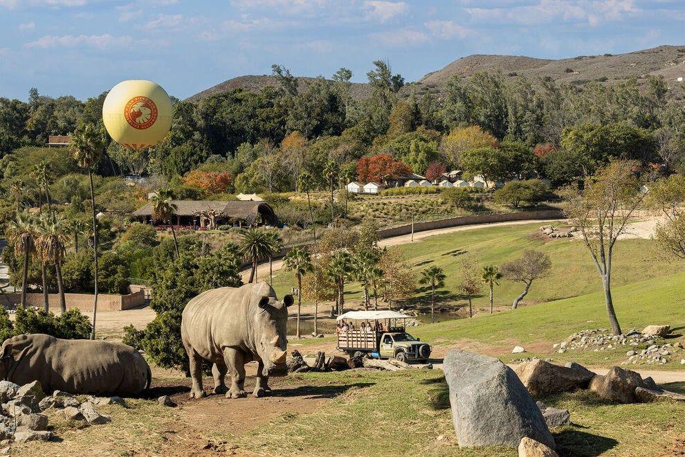 Cast Your Vote Now: Help San Diego Zoo Claim the Title of Best Zoo in the U.S.!