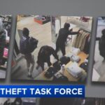 New Crime Unit Cracks Down on Groups Behind M Pennsylvania Retail Theft Bust