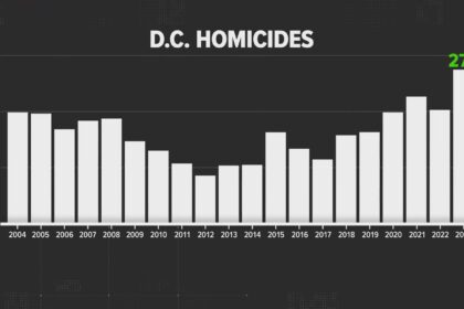Unraveling the Surge in Washington, DC Homicides