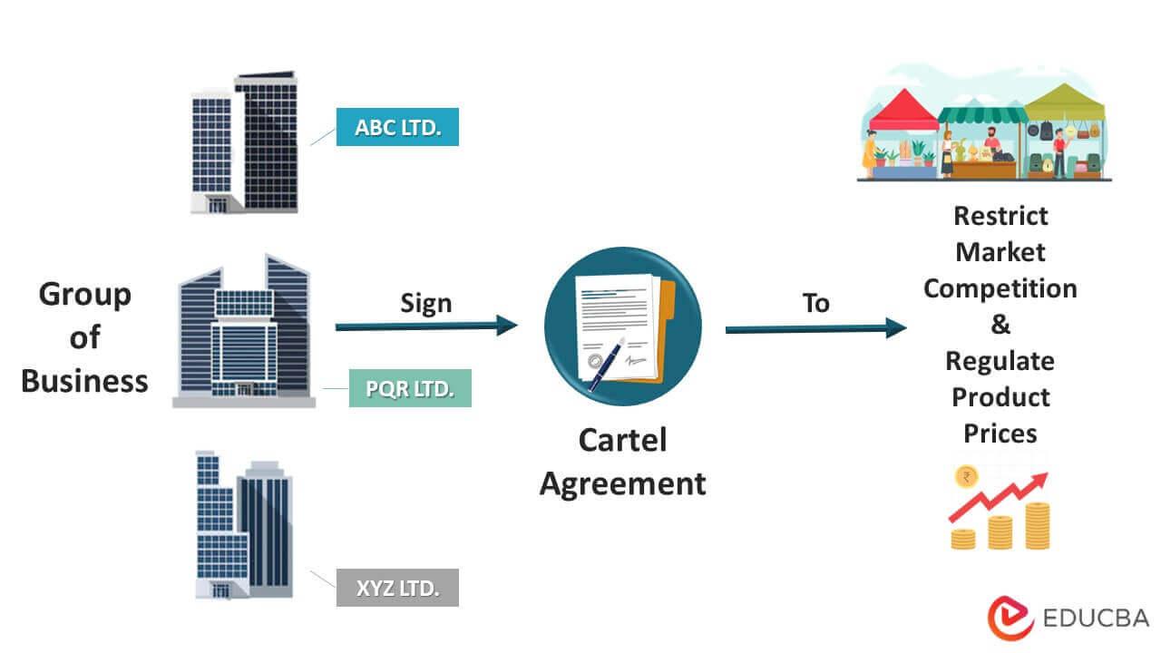 Cartels Flourish Unstopped Despite Harsh Terror Designations