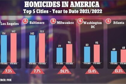The Major Cities with the Highest Homicide Rates in 2021 Uncovered