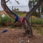 San Diego Political Expert Uncovers Shocking Actions That Could Ignite a US Civil War