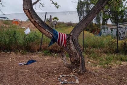 San Diego Political Expert Uncovers Shocking Actions That Could Ignite a US Civil War