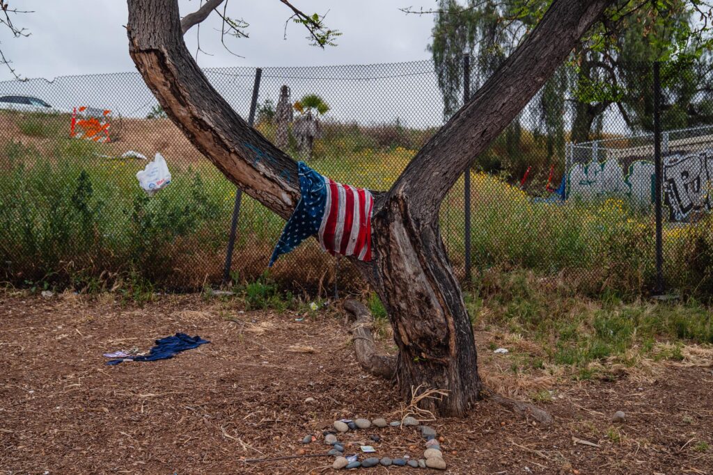 San Diego Political Expert Uncovers Shocking Actions That Could Ignite a US Civil War San Diego Political Expert Uncovers Shocking Actions That Could Ignite a US Civil War