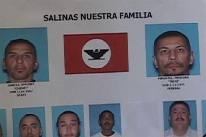 Operation Snake Eyes: 51 Notorious Gang Members Arrested in Phoenix