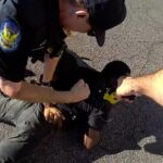 Arizona Prosecutors Drop Charges Against Deaf Black Man After Police Beating