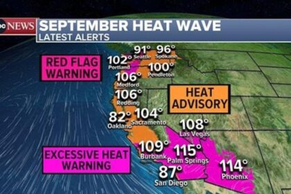 Blazing Inferno: Phoenix’s Extreme Heatwave Tests Limits of Survival