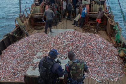 U.S. Law Enforcement Teams Up in Exercise Phoenix Express to Tackle Maritime Crime