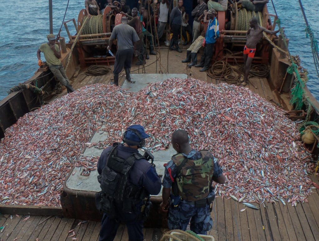 U.S. Law Enforcement Teams Up in Exercise Phoenix Express to Tackle Maritime Crime U.S. Law Enforcement Teams Up in Exercise Phoenix Express to Tackle Maritime Crime