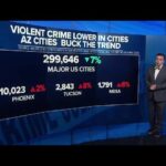 Arizona and the U.S. Experience Significant Drop in Violent and Property Crimes Last Year