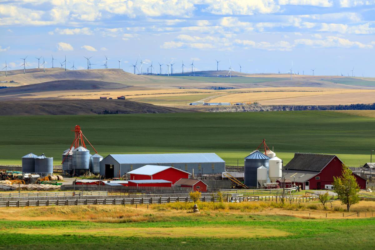 Canadian Agricultural Firm Expands, Acquires Thousands of Acres West of Phoenix