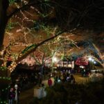 Explore Chicago’s Must-See Holiday Events for Unforgettable Fun