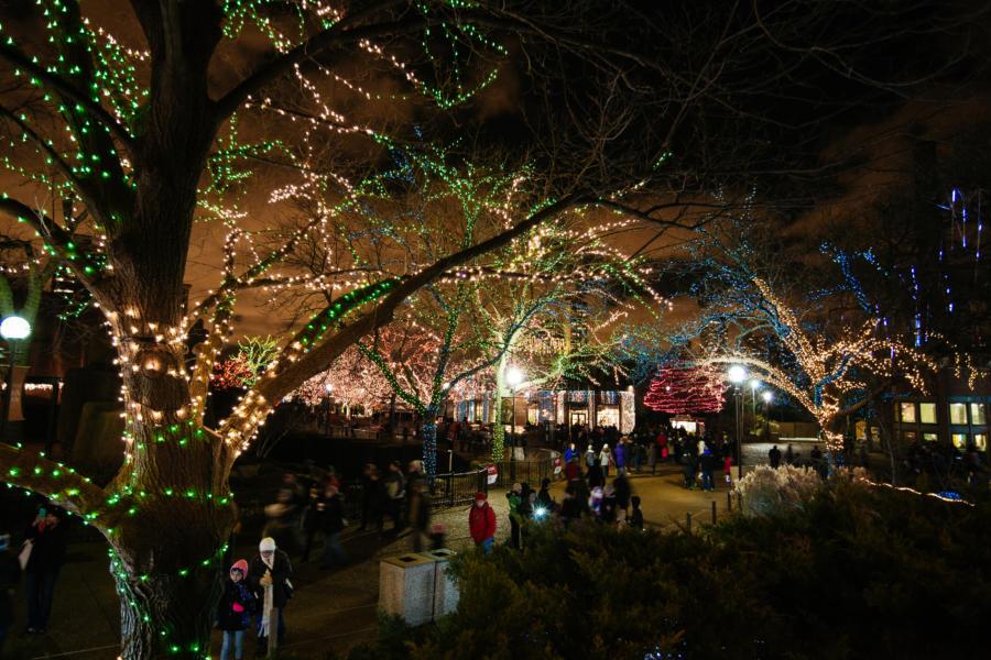 Explore Chicago’s Must-See Holiday Events for Unforgettable Fun