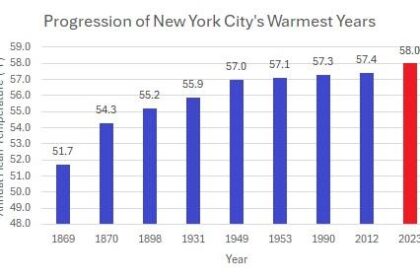 Confronting Historic Inequities, New York and Phoenix Struggle to Adapt to Rising Heat