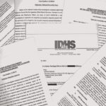 Nearly 375 Illinois Government Workers Implicated in Widespread PPP Fraud, State Watchdog Reveals
