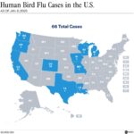 First Bird Flu Death in the U.S.: What You Need to Know About the Virus