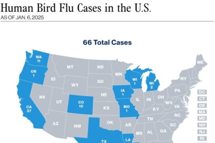 First Bird Flu Death in the U.S.: What You Need to Know About the Virus