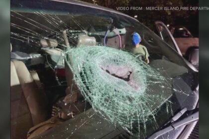 Rising Highway Crimes in Washington as Traffic Bounces Back to Pre-Pandemic Levels