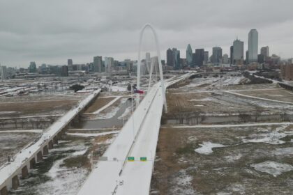 ICE Dallas Captures Foreign Fugitive Wanted Abroad