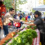 Discover Chicago’s Exciting 2025 Spring and Summer Events: Farmers Markets, Festivals, and More!
