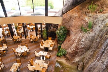Phoenix Restaurant Reinvents Itself by Selling Toilet Paper and Eggs Amid Coronavirus Outbreak