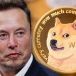 Elon Musk’s DOGE and HHS Cancel  Million Contract Over Unused Migrant Housing Facility in San Antonio