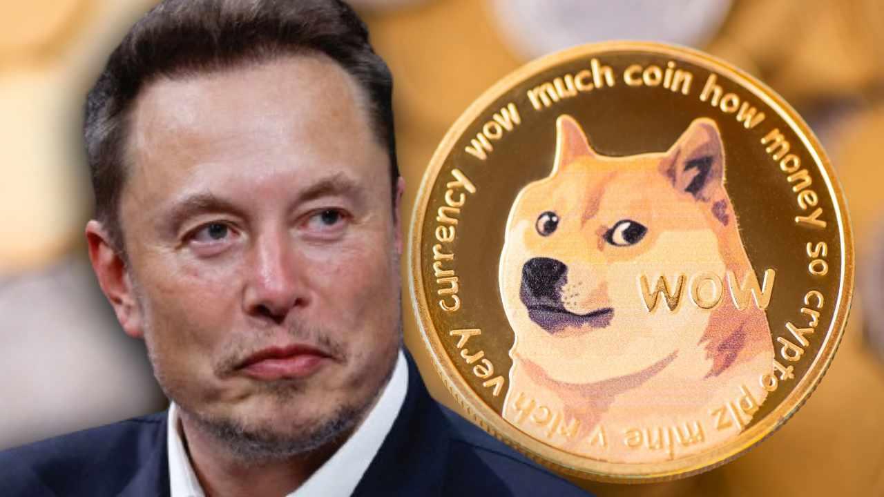 Elon Musk’s DOGE and HHS Cancel Million Contract Over Unused Migrant Housing Facility in San Antonio Elon Musk’s DOGE and HHS Cancel Million Contract Over Unused Migrant Housing Facility in San Antonio