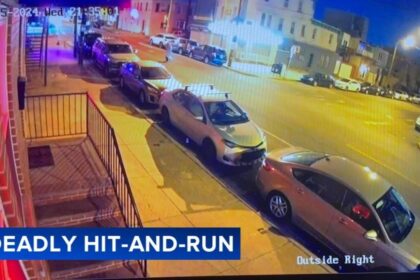 Hit-and-Run Driver Runs Red Light Before Striking Victim on Snyder Ave.; Shocking Incident Caught on Video