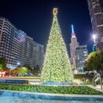 The Ultimate Guide to Dallas Christmas Trees: From Tallest to Shortest
