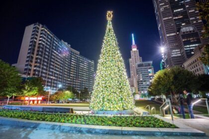 The Ultimate Guide to Dallas Christmas Trees: From Tallest to Shortest