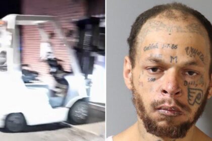 Philadelphia Man Arrested After Wild Forklift Crime Spree in Delaware County