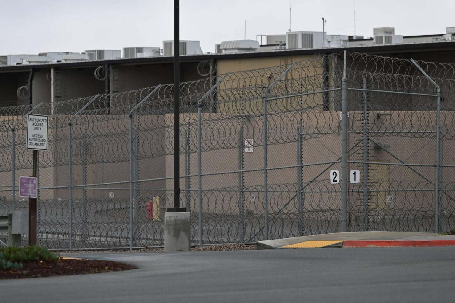 Ethiopian Woman Endured Government Torture—Now Facing Deportation from the US Ethiopian Woman Endured Government Torture—Now Facing Deportation from the US