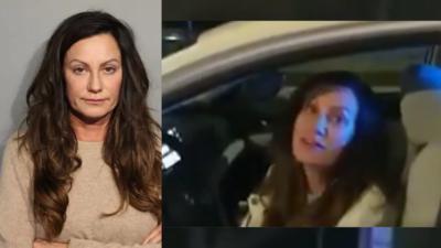 Cook County Politician Caught in DUI Arrest Tells Chicago Cops, ‘I’m an Elected Official