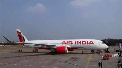 Why Has Air India Suspended Flights Between New Delhi and Washington DC?