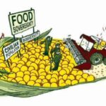 How Investing in These 6 Key Components Can Unlock True Food Sovereignty